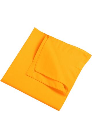 Produktansicht: Daiber Bandanatuch
