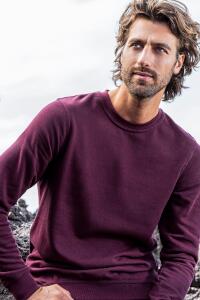 Produktfoto Promodoro 80/20 einfarbiges Sweatshirt für Männer bis 3XL