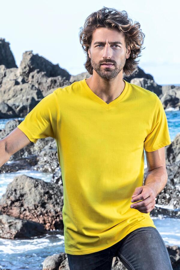 Produktansicht: Promodoro Premium V-Neck Herren T Shirt bis Größe 5XL Produktansicht: Promodoro Premium V-Neck Herren T Shirt bis Größe 5XL